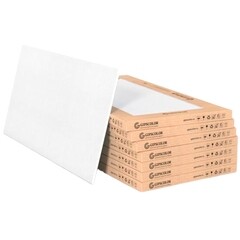 Плита к подвесному потолку 1200х600х8 мм Gipscolor Medical (5 шт.)
