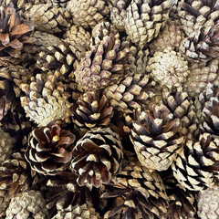 Шишка сосновая декоративная Rainberg 60 л - фото 6