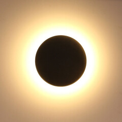 Светильник светодиодный садово-парковый накладной Arte Lamp Nimbo черный 120 мм 3000-6500К 9 Вт IP65 (A3409AL-1BK) - фото 3