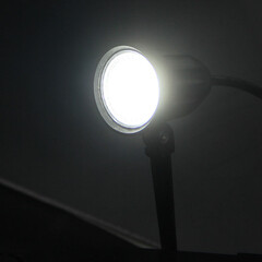 Светильник светодиодный садово-парковый Arte Lamp Elsie черный 200 мм 4000К 7 Вт IP65 (A1127IN-1BK) - фото 2