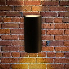 Светильник светодиодный садово-парковый накладной Arte Lamp Alcyone черный 160 мм 3000-6500К 18 Вт IP65 (A6109AL-2BK) - фото 2