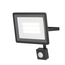 Прожектор светодиодный Maytoni Flood Outdoor 6500К 30 Вт IP65 с датчиком движения черный