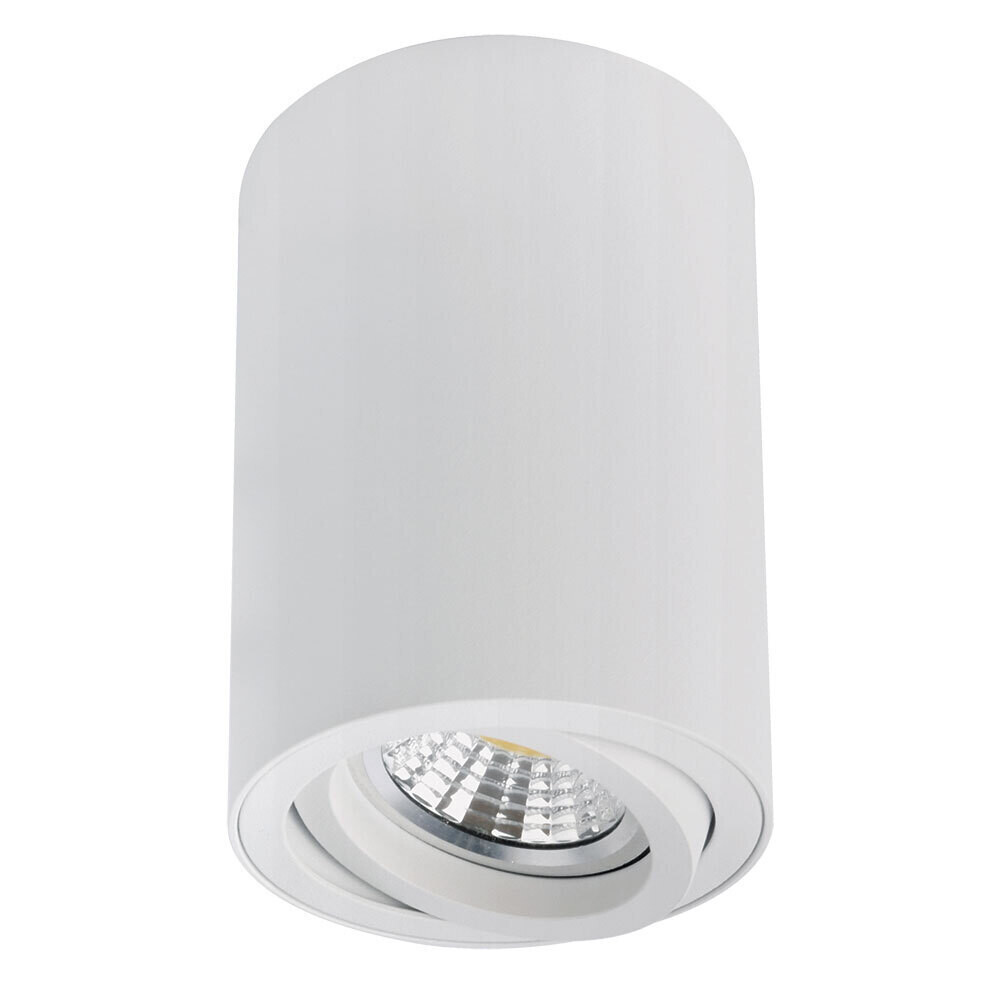 

Светильник накладной Arte Lamp Sentry GU10 35 Вт 2 кв.м белый IP20 (A1566PL-1WH)