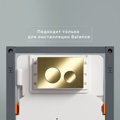 Клавиша смыва для инсталляций Ceramicanova Balance Circle брашированное золото (CN12-001BG) - фото 4