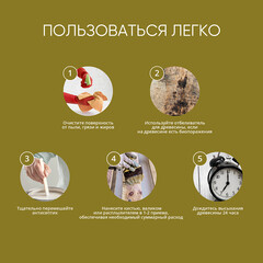 Антисептик MasterGood для бань и саун бесцветный 3 л - фото 2