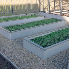 Шифер плоский 300х1500х8 мм непрессованный - фото 2