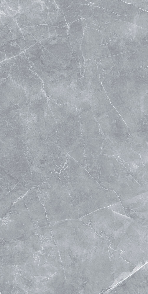 Керамогранит Staro Silk Gilio серый матовый 1200x600x9 мм (2 шт.=1,44 кв.м)