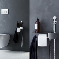 Смеситель с гигиеническим душем AM.PM Like хром (F0202600) - фото 3