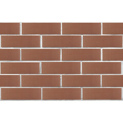 Кирпич облицовочный пустотелый коричневый утолщенная стенка М175 250х120х65 мм 1NF ЛСР (РКЗ) - фото 1