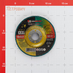 Круг лепестковый торцевой по металлу/древесине Луга Professional 125х22,2 мм P80 конический - фото 3