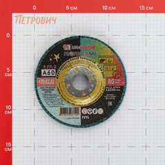 Круг лепестковый торцевой по металлу/древесине Луга Professional 125х22,2 мм P60 конический - фото 3