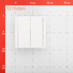 Выключатель IEK Forte&Piano FP206 двухклавишный встраиваемый белый с подсветкой (FP-V20-1-10-1-K01) - фото 2