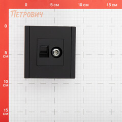 Розетка телевизионная/ компьютерная IEK Forte&Piano FP136 встраиваемая черная TV/ RJ45 (FP-AK20-1-K02) - фото 2