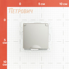 Розетка IEK Brite РСбш10-3-44-БрС встраиваемая сталь со шторками с крышкой (BR-R16-16-44-K46) - фото 2