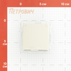 Розетка IEK Brite РСбш10-3-44-БрКр встраиваемая бежевая со шторками с крышкой (BR-R16-16-44-K10) - фото 2