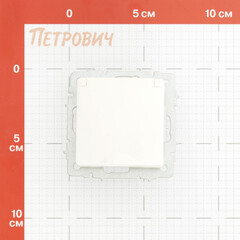 Розетка IEK Brite РСбш10-3-44-БрБ встраиваемая белая со шторками с крышкой (BR-R16-16-44-K01) - фото 2