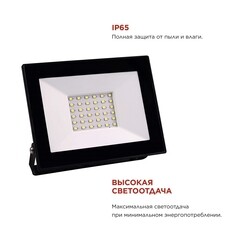 Прожектор светодиодный IN HOME СДО 6500К 50 Вт IP65 черный - фото 3
