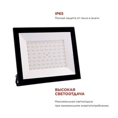 Прожектор светодиодный IN HOME СДО 6500К 100 Вт IP65 черный - фото 3