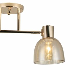 Люстра потолочная Schaffner Lettore E14 80 Вт 12 кв.м (4570-2 GD) - фото 5