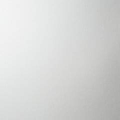 Обои компакт-винил на флизелиновой основе Renowa Monolit 38203-01 (1,06х10,05 м) - фото 2