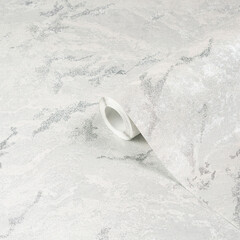 Изображение товара Обои компакт-винил на флизелиновой основе Palitra Home Vesna HC72438-14 (1,06х10,05 м)