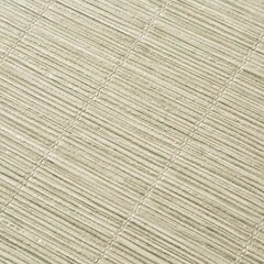 Обои компакт-винил на флизелиновой основе Palitra Trend Nature TC72457-27 (1,06х10,05 м) - фото 3