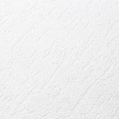 Обои под покраску вспененный винил на флизелиновой основе фактурные Palitra Home Colorist 417-01 (1,06х25 м) плотность 109 г/кв.м - фото 3