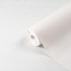 Изображение товара Обои под покраску вспененный винил на флизелиновой основе фактурные Palitra Home Colorist 426-01 (1,06х25 м) плотность 105 г/кв.м