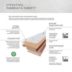 Ламинат 33 класс Tarkett Navigator спенсер 1,253 кв.м 12 мм с фаской влагостойкий - фото 7