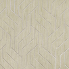 Обои компакт-винил на флизелиновой основе Elysium Уно Е805002 (1,06х10 м) - фото 1