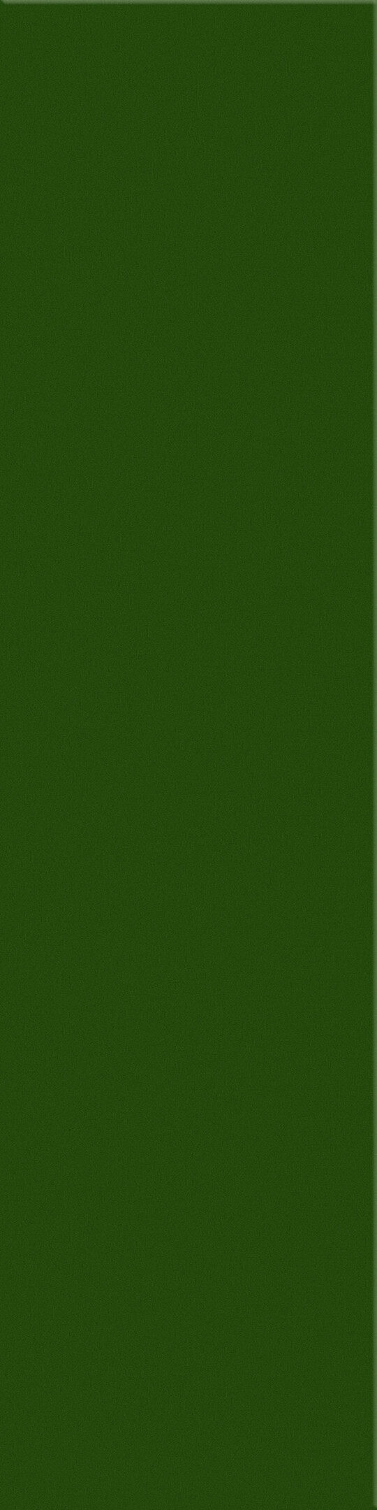 Изображение товара Плитка облицовочная Monopole Bora Bora зеленая глянцевая 300х75х8 мм