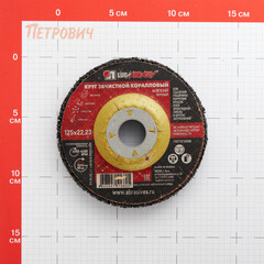 Диск абразивный Луга коралловый d125 мм для сухого шлифования черный - фото 2