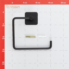 Держатель для туалетной бумаги Delphinium B6445P-6 металл черный (101187) - фото 2