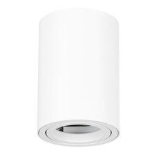 Спот потолочный Arte Lamp Sentry GU10 50 Вт 1 кв.м белый IP20 (A1560PL-1WH/6037)