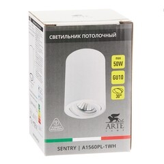 Спот потолочный Arte Lamp Sentry GU10 50 Вт 1 кв.м белый IP20 (A1560PL-1WH/6037) - фото 2