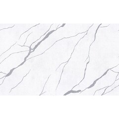 Изображение товара Обои компакт-винил на флизелиновой основе Palitra Home Rich Potal HC72604-12 (1,06х10,05 м)