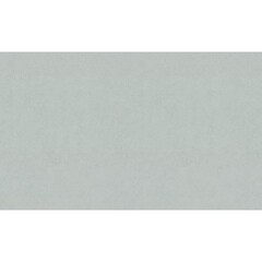 Обои компакт-винил на флизелиновой основе Palitra Family Levia FM72540-74 (1,06х10,05 м)