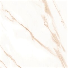 Керамогранит Lavelly Calacatta Imperia белый матовый 600x600x8,2 мм (4 шт.=1,44 кв.м) - фото 12