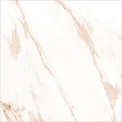 Керамогранит Lavelly Calacatta Imperia белый матовый 600x600x8,2 мм (4 шт.=1,44 кв.м) - фото 6