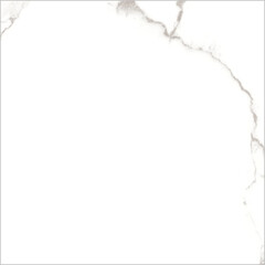 Керамогранит Lavelly Carrara Antico белый матовый 800x800x8,5 мм (3 шт.=1,92 кв.м) - фото 8