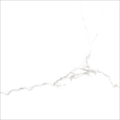 Керамогранит Lavelly Carrara Antico белый матовый 600x600x8,2 мм (4 шт.=1,44 кв.м) - фото 1