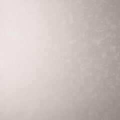 Обои компакт-винил на флизелиновой основе Elysium Флай фон Е804506 (1,06х10,05 м) - фото 4