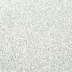 Обои вспененный винил на флизелиновой основе Elysium Роса Е502401 (1,06х10,05 м) - фото 3