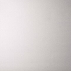 Обои вспененный винил на флизелиновой основе Elysium Роса Е502407 (1,06х10,05 м) - фото 4