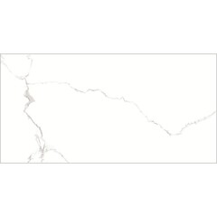 Керамогранит Lavelly Carrara Antico белый матовый 1600x800x8,8 мм (2 шт.= 2,56 кв.м) - фото 6