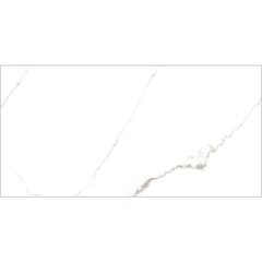 Керамогранит Lavelly Carrara Antico белый матовый 1600x800x8,8 мм (2 шт.= 2,56 кв.м) - фото 5