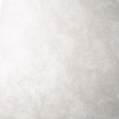 Обои компакт-винил на флизелиновой основе Erismann FlexER Moon 60864-02 (1,06х10,05 м) - фото 4