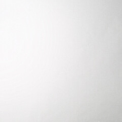 Обои компакт-винил на флизелиновой основе Erismann Secret Garden 12242-01 (1,06х10 м) - фото 4