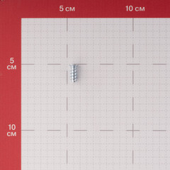 Еврошуруп оцинкованный 6,3х13 мм потайная головка PZ2 (25 шт.) - фото 3