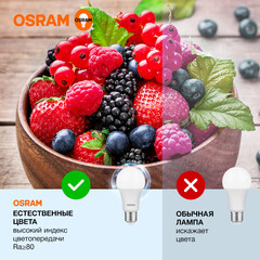 Лампа светодиодная Osram E27 6500К 12 Вт 1055 Лм 230 В груша A60 матовая - фото 3